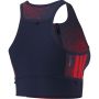 Labrum Crop 2