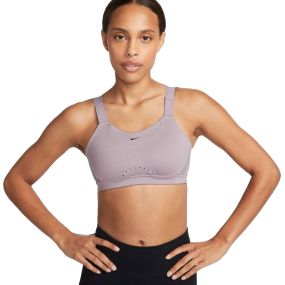 Alpha High-Support Padded Adjustable Sports Bra C-E Cup