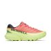 multicolored