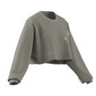 adi365 Crop Longsleeve 2