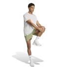 adi365 Iconic Running Climacool T-Shirt 5
