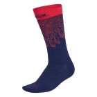 Labrum Socks 1
