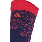 Labrum Socks 3