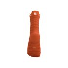 Pro Racing Socks v4.0 Ultralight Run High 4