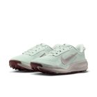 ACG Pegasus 3