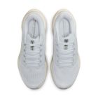 Pegasus 41 6