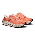 Cloudrunner 3 3