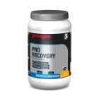 Pro Recovery - Mango (800g) 1