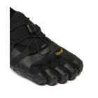 Spidrwalk 2