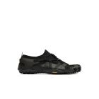 Spidrwalk 1