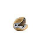 Motus Flex Natural 6